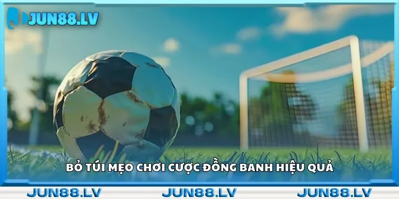 Bỏ túi mẹo chơi cược đồng banh hiệu quả 