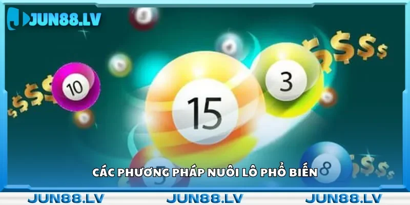 Những cách nuôi lô thường được áp dụng