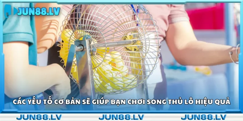 Các yếu tố cơ bản sẽ giúp bạn chơi song thủ lô hiệu quả