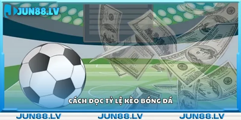 Cách đọc tỷ lệ kèo bóng đá