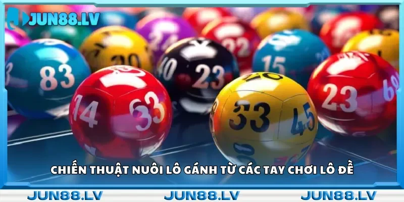 Kinh nghiệm nuôi lô gánh từ những cao thủ lô đề