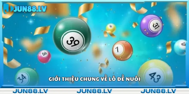 Tổng quan về hình thức nuôi lô đề