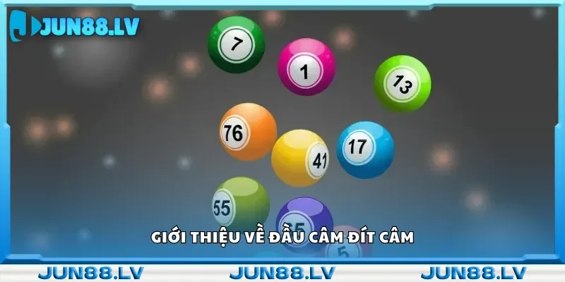 Giới thiệu về đầu câm đít câm