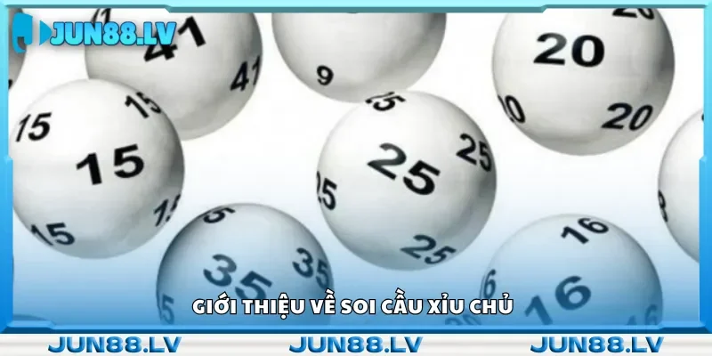 Tổng quan về phương pháp soi cầu xỉu chủ
