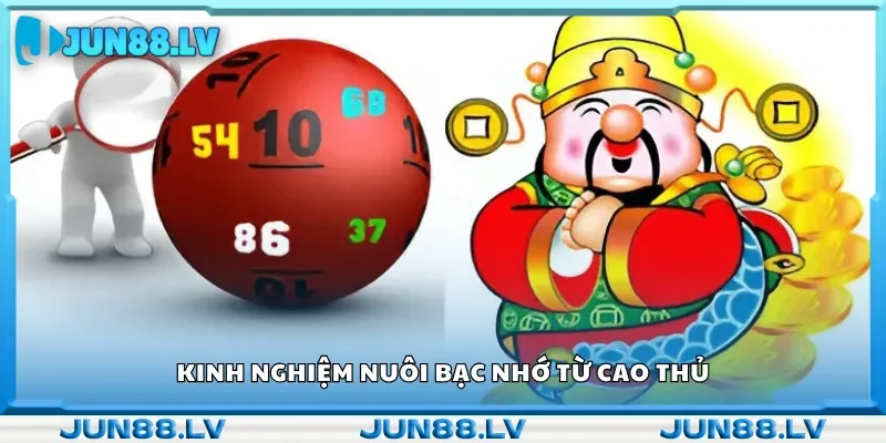 Kinh nghiệm nuôi bạc nhớ từ cao thủ