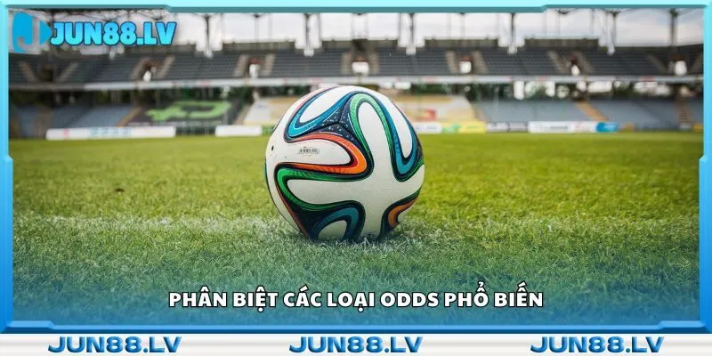 Phân biệt các loại odds phổ biến