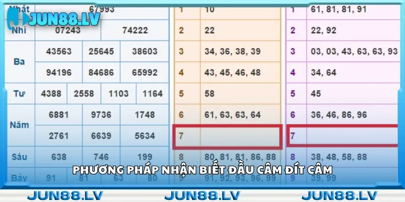 Phương pháp nhận biết đầu câm đít câm