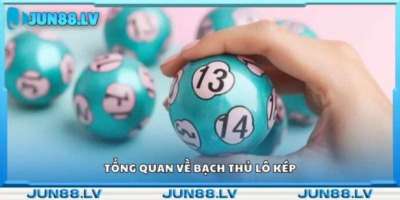 Tổng quan về bạch thủ lô kép