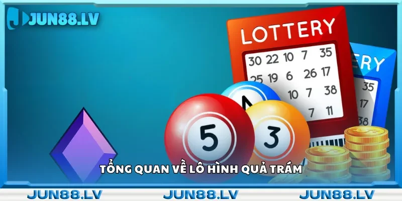 Tổng quan về lô hình quả trám